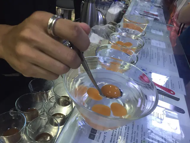 哈蜜瓜分子晶球配西班牙黑毛豬火腿