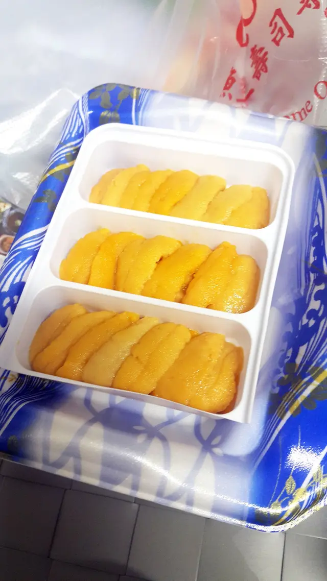 韓國馬糞海膽