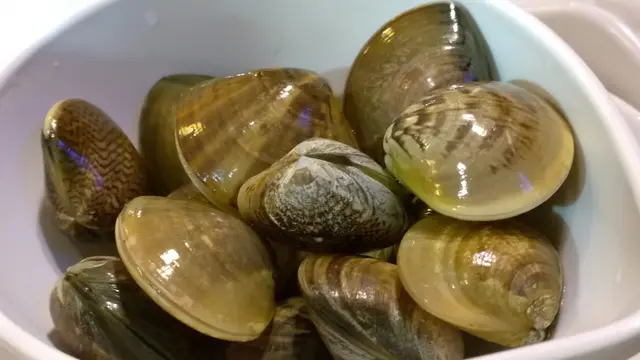 蜆