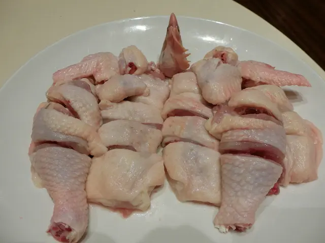 椰子雞煲的雞
