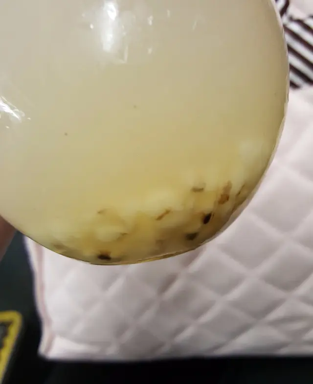 蜂蜜薏仁水