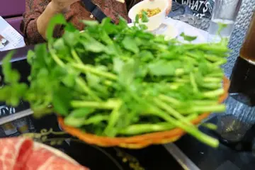 皇帝菜