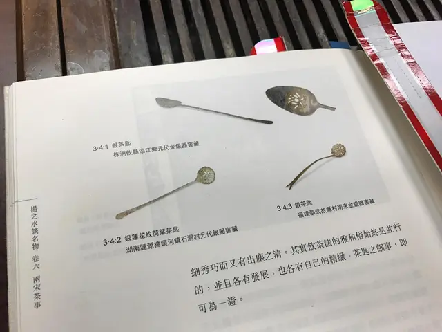 古人打茶泡嘅工具,有錢人用金銀銅,窮人用竹!
