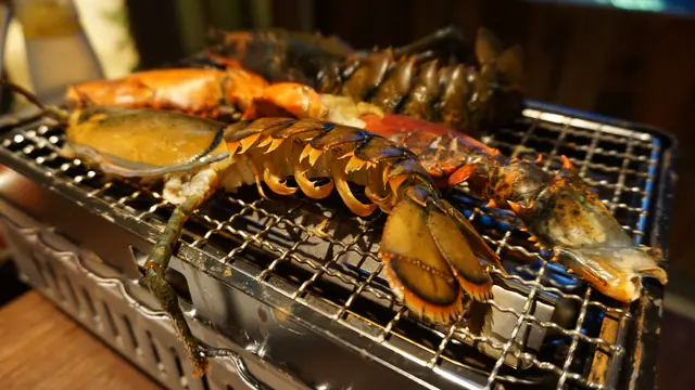 波士頓龍蝦