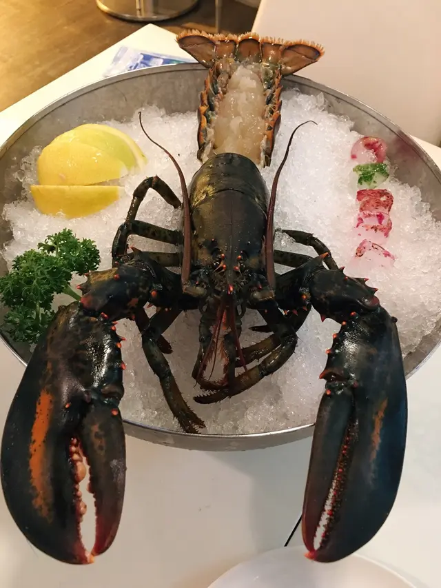 鮮活波士頓龍蝦刺身