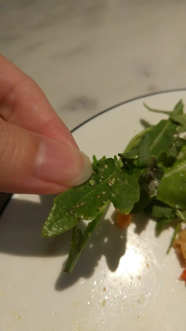 波隆拿肉腸薄餅

