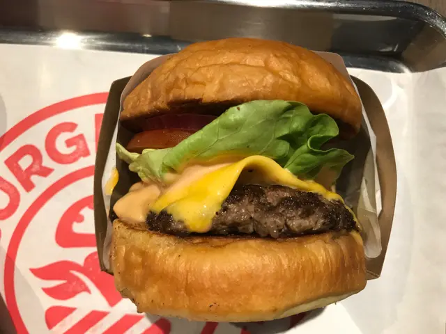 Cheese Burger