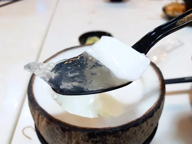 海南椰子凍