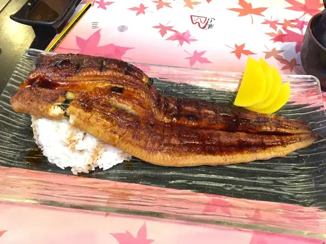 原條蒲燒鰻魚飯