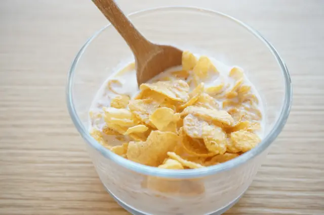 是無糖的版本，淡淡的健康感覺。