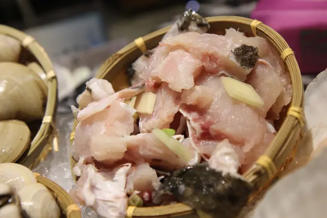 沙巴龍躉