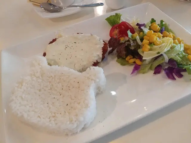 芝士黑豚肉飯
