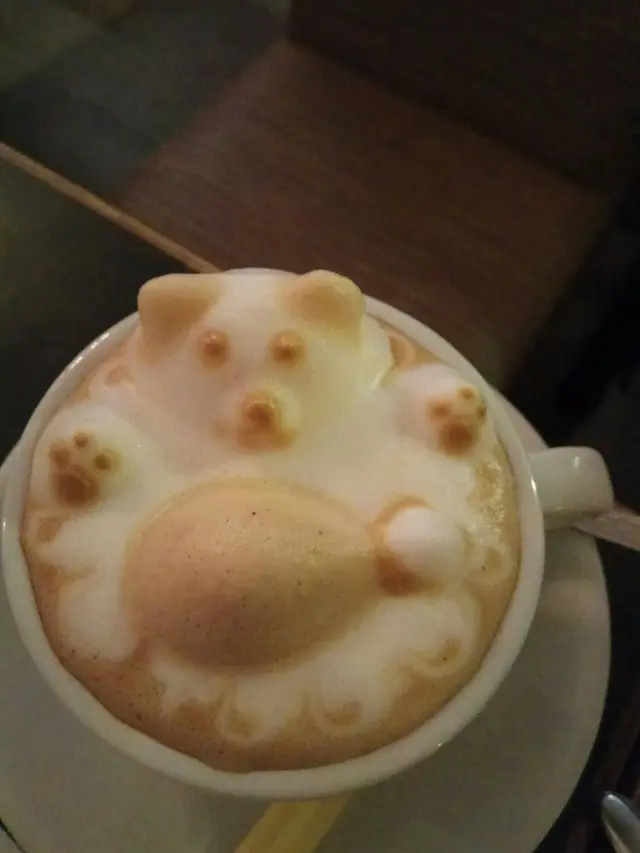好有surprise  bear bear cappuccino 