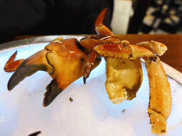 法國膏蟹