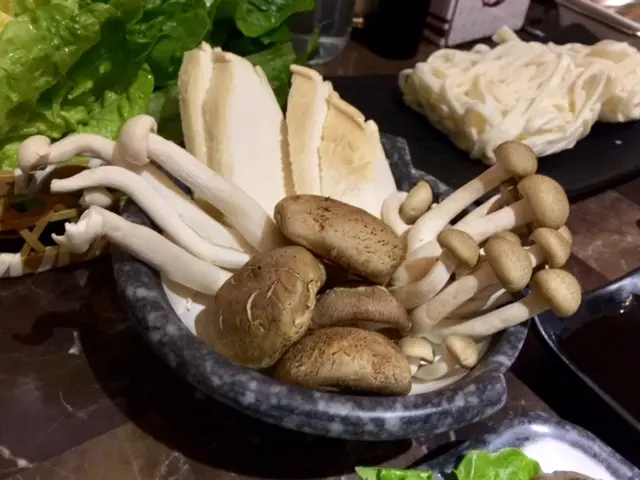 養生菇菌籃