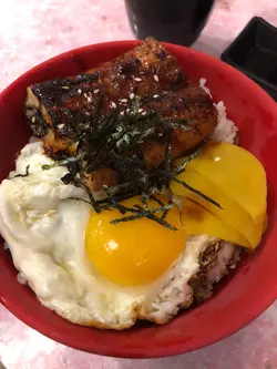 鰻魚煎蛋飯