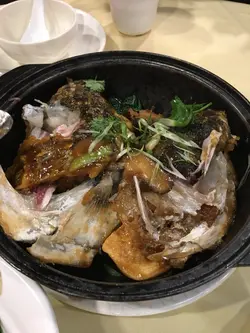 沙鍋魚頭煲