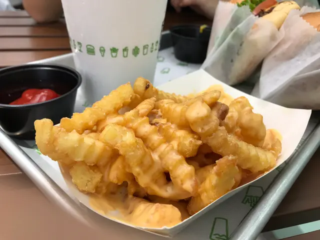 Cheese Fries