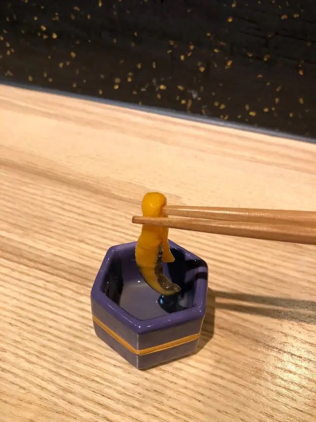 軟組織動物