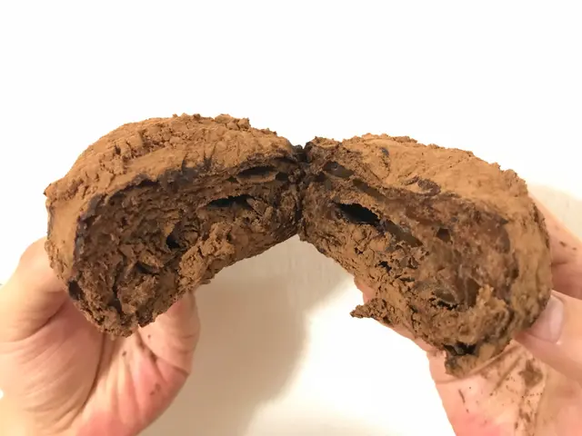 無敵朱古力髒髒包