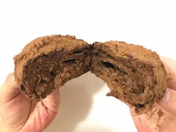 无敌朱古力脏脏包