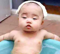 肥趙