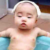 肥赵