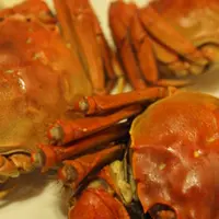 為食匙羹
