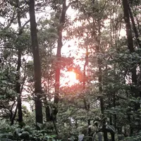 bananamango