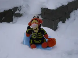 六月