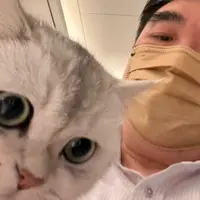 小黑仔