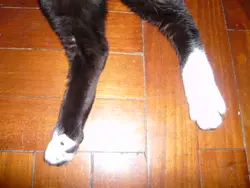 Pina小編編