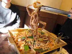 ＊小金子＊