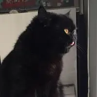 一年級生
