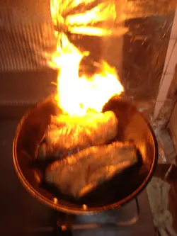 辛苦搵黎志在食野