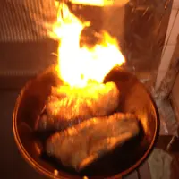 辛苦搵黎志在食野