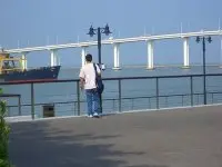 B蛋