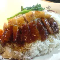 飲食審栽處