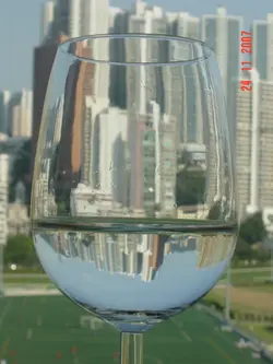 馬鷹狗