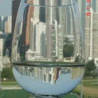 馬鷹狗