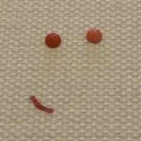 馬沙
