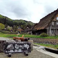 天天食好野