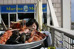 無飯OL