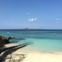 拜金小姐
