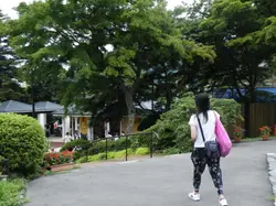 老寶