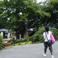 老寶