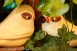 小魚兒(彗星)