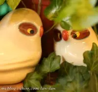 小鱼儿(彗星)