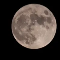 新世代"活武神"