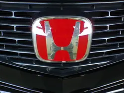Wilson489